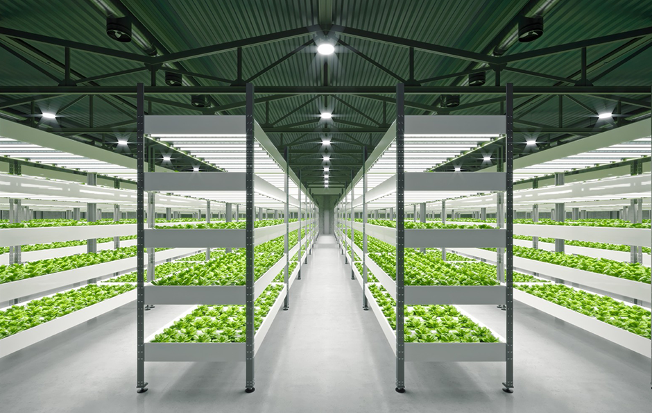 壹定发(中国集团)官方网站