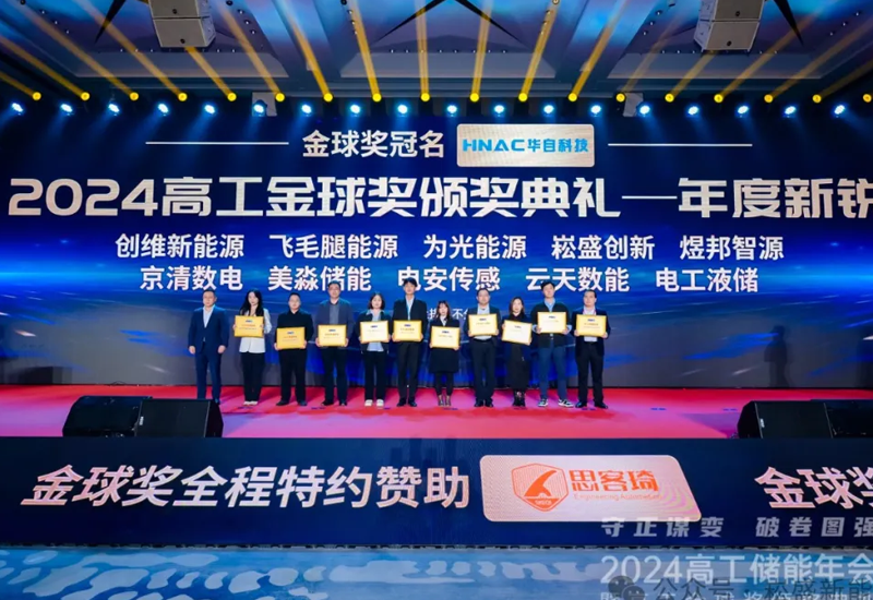 喜讯｜壹定发立异荣获“2024高工金球奖年度新锐奖”