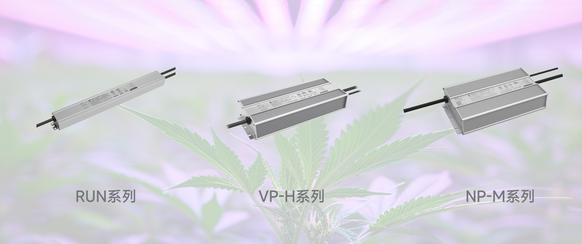 壹定发(中国集团)官方网站