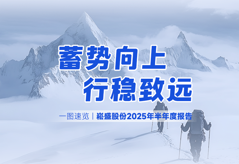 一图速览 | 壹定发股份2025年半年度报告