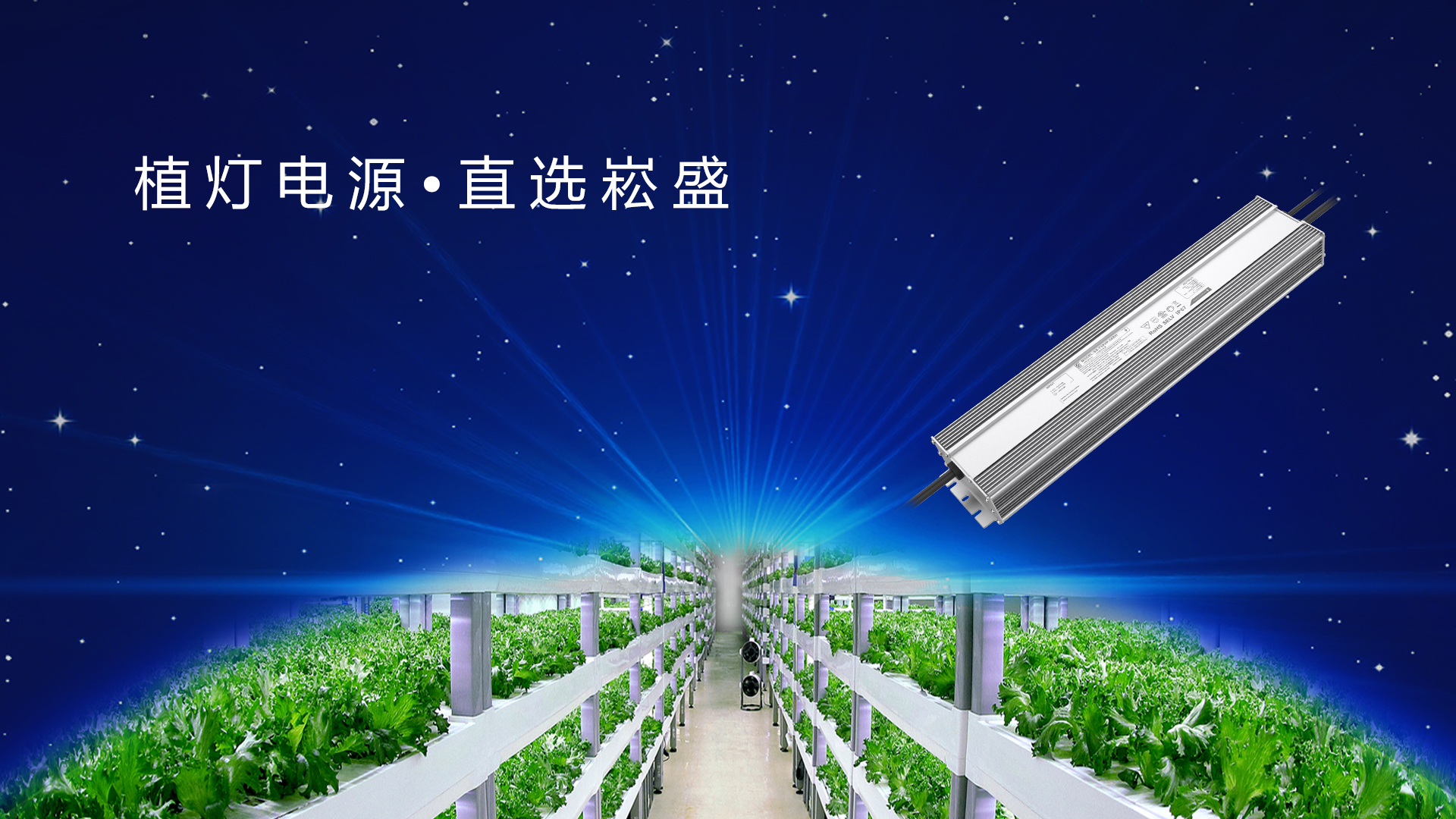 追光而行 ▏做植物照明驱动者，让未来农业绽放无限可能