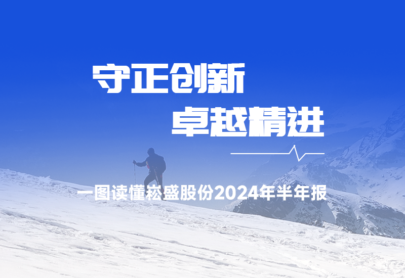 一图读懂 ▏壹定发股份2024年半年报
